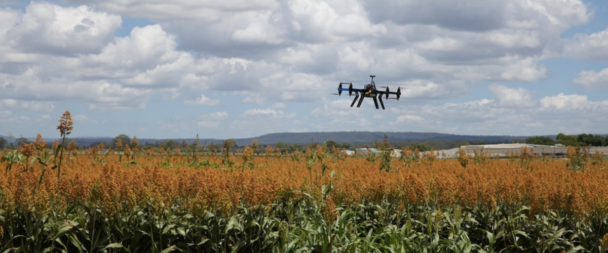 iRobotics Révolutionne l’Agriculture à Kara avec des Études Multispectrales et Pédologiques par Drone au Ranch West Bridge